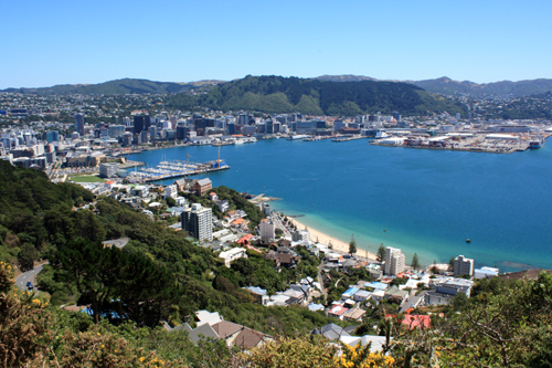 Oriental Bay Suburb photo