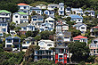 Mount Victoria Houses photo