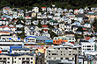 Mount Victoria Wellington photos