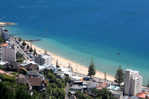 View of Oriental Bay from Mt Vic photo
