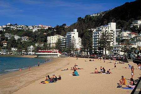 Oriental Bay photo