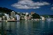 Oriental Bay photo