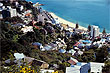 Oriental Bay photo