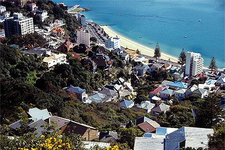 Oriental Bay photo