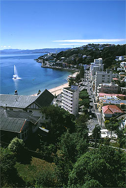 Oriental Bay photo