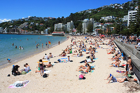 Oriental Bay Beach photo