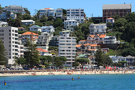 Oriental Bay Beach photo