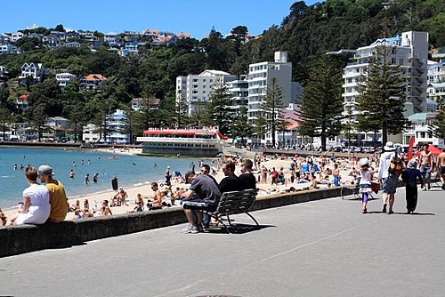 Oriental Bay Walk photo