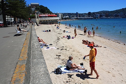 Oriental Bay Beach photo