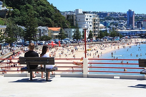 Oriental Bay Beach photo