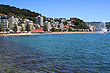 Oriental Bay photo