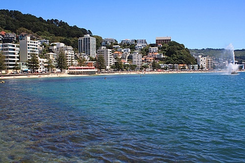 Oriental Bay photo