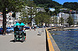 Oriental Bay Walkway photo