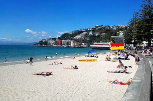 Summer at Oriental Bay Beach photo