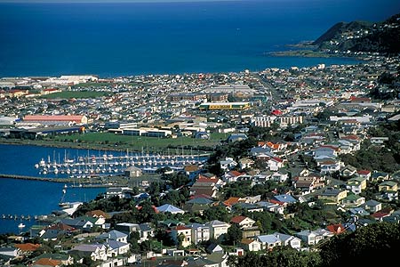 Lyall Bay photo