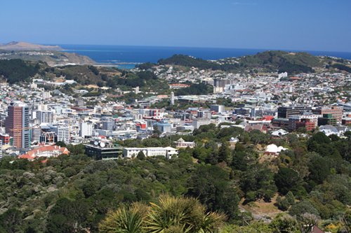 View of Newtown & Island Bay photo