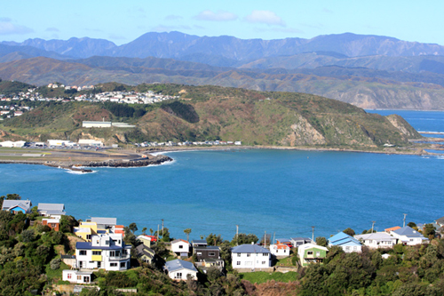 View from Buckley Road Wellington photo