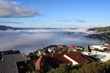 Wellington Southern Suburbs Fog photo