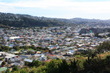 Southern Suburbs Wellington photo