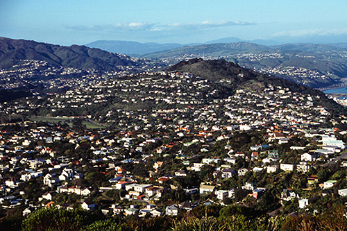 Western Suburbs Wellington photo