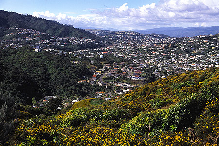 Western Suburbs Wellington photo