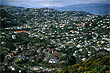 Wellington Western Suburbs photo