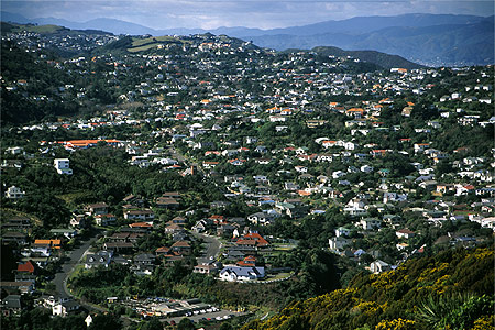 Western Suburbs Wellington photo