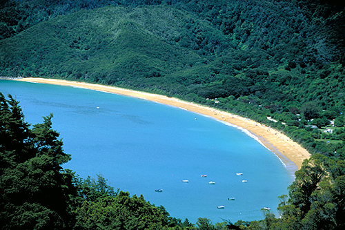 Aerial View of Totoranui Beach photo