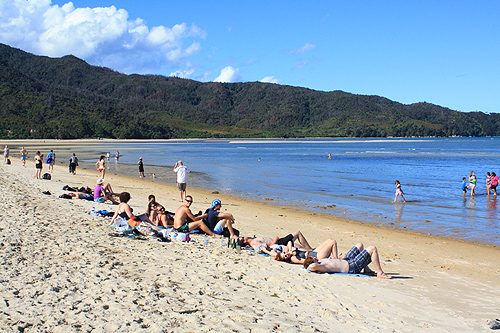 Sandy Bay Abel Tasman photo