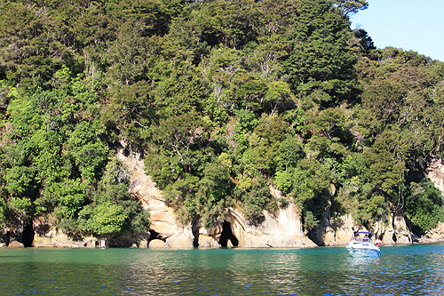 Caves at Abel Tasman photo