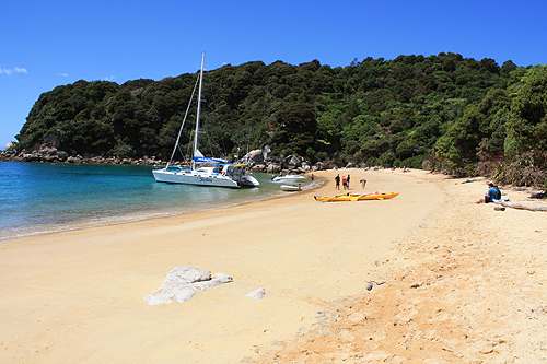 Te Pukeatea Bay view photo