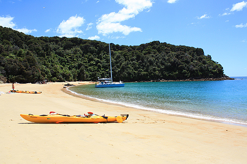 Te Pukeatea Bay kayaks photo