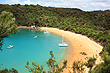 Te Pukeatea Bay Kayaks photo