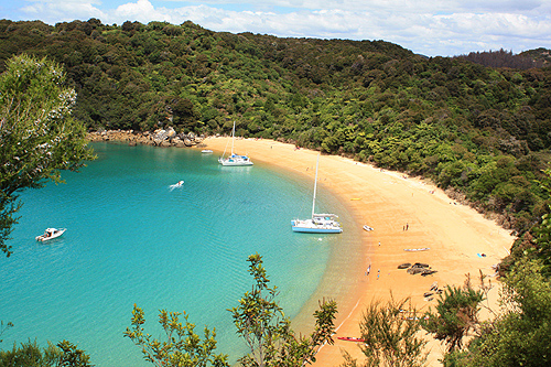 Te Pukeatea Bay photo