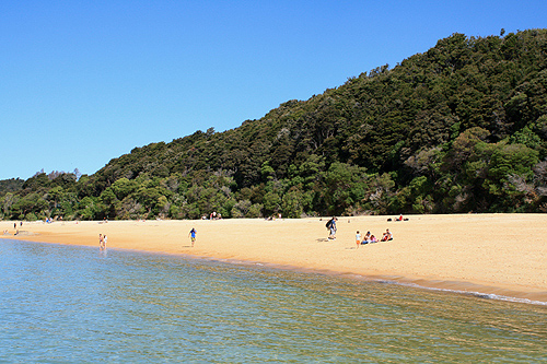 Abel Tasman Beach photo