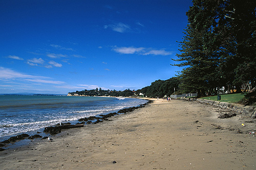 Takapuna Beach photo