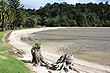 Langholm Beach photo