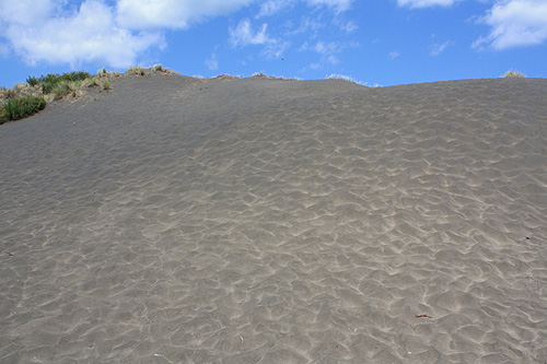 Iron Sand photo