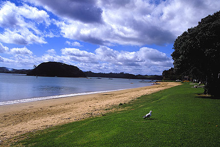 Bay of Islands photos