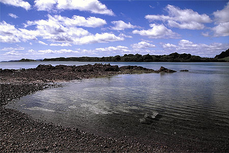 Wairoa Bay photo