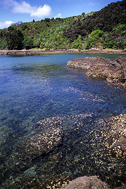 Wairoa Bay photo