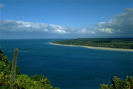 Bay of Plenty photo