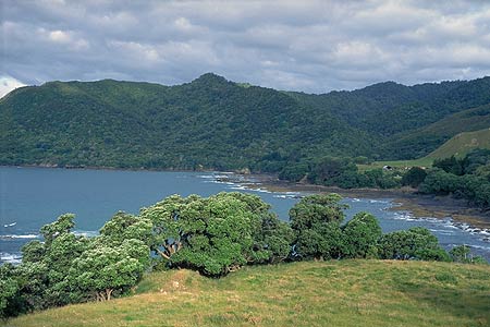 Whakatane Coastline photo