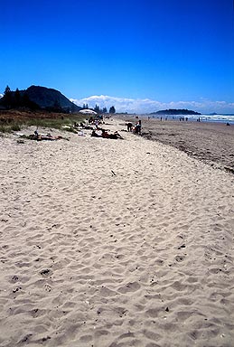 Beach near Tauranga photo