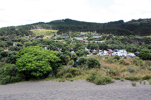 Inland View from Bethells Beach photo