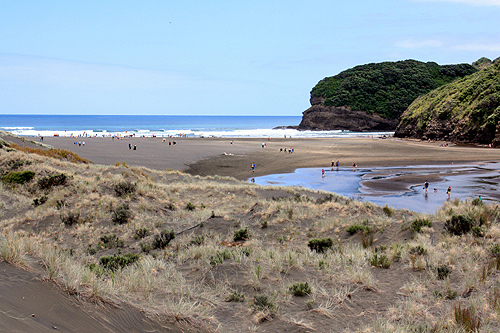 Sand Dunes Bethells Beach photo