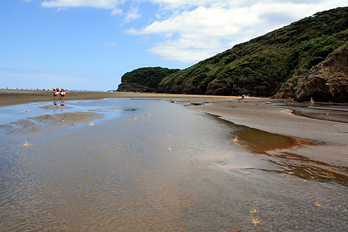 Waitakere River photo