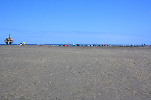 Bethells Beach Width photo