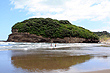 Ihumoana Island Bethells Beach photo