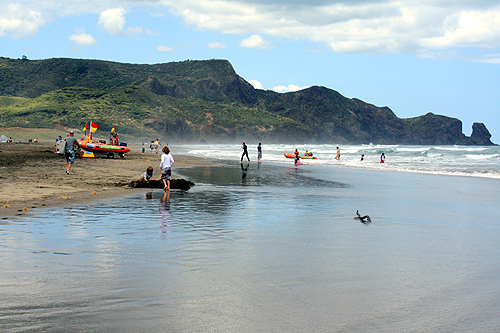 Looking South along Bethells Beach photo